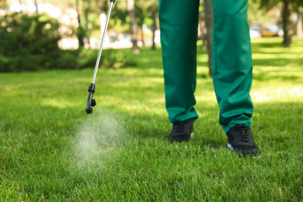 Best Mosquito Control Services  in Pawcatuck, CT
