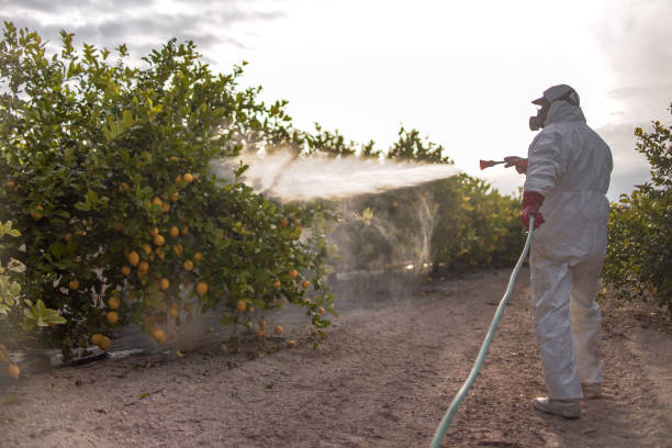 Best Best Pest Control Near Me  in Pawcatuck, CT